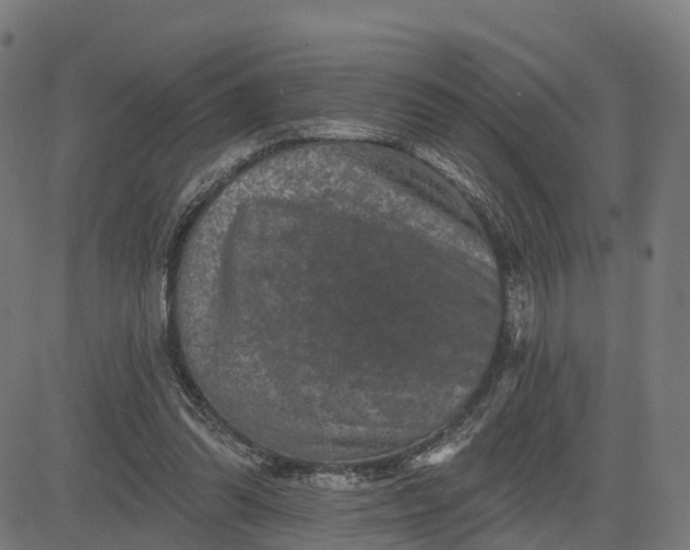 X0000084560302200703091752