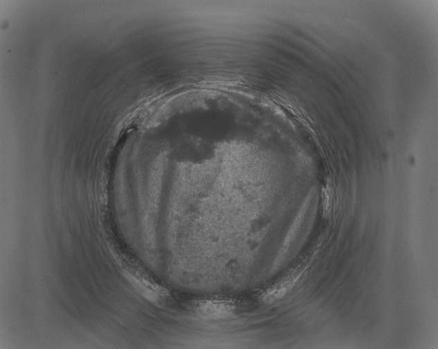 X0000084560303200703091752