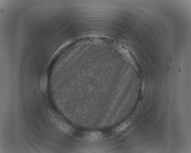 X0000084560304200703091752