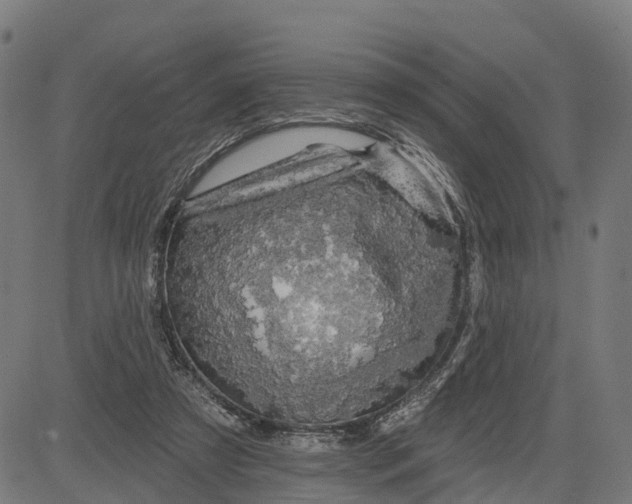 X0000084560305200703091752