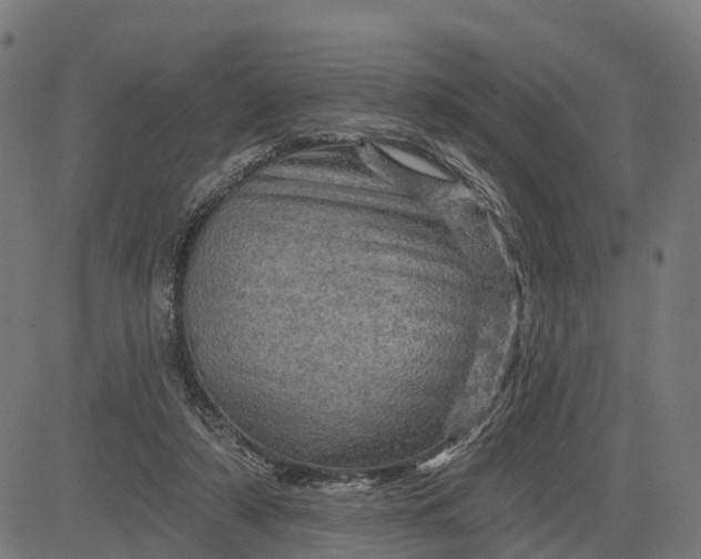 X0000084560306200703091752