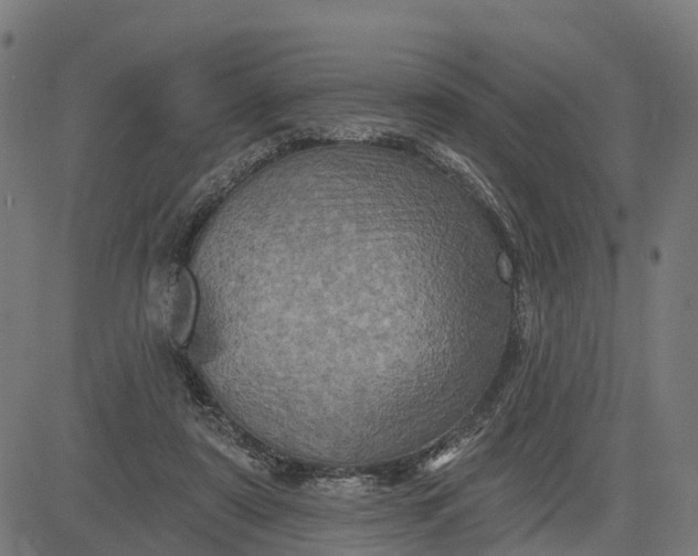 X0000084560307200703091752