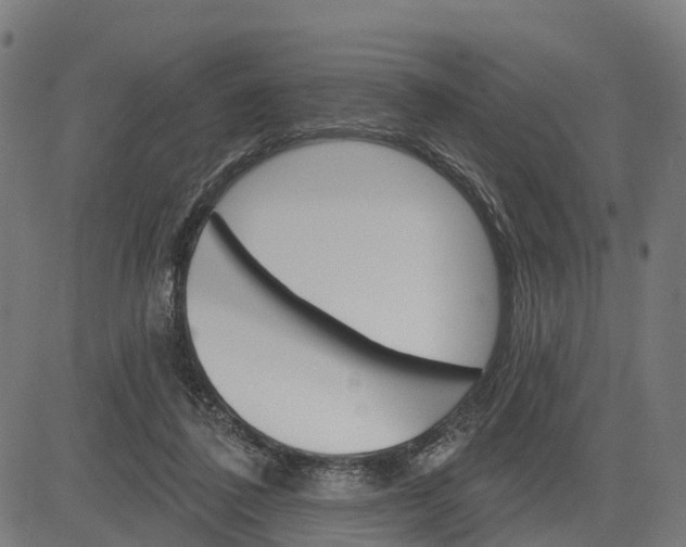 X0000084560308200703091752