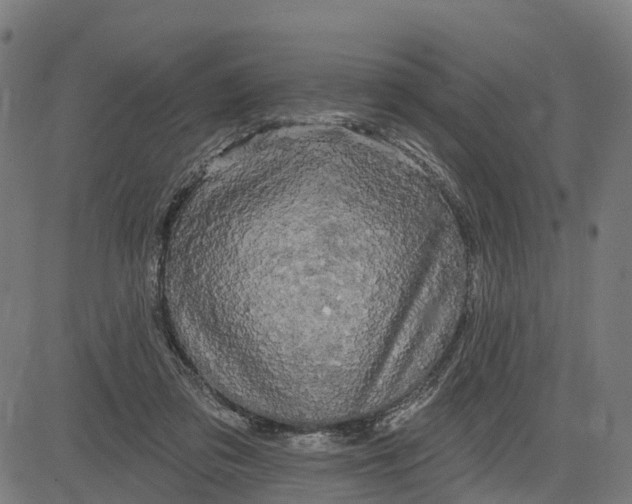 X0000084560309200703091752