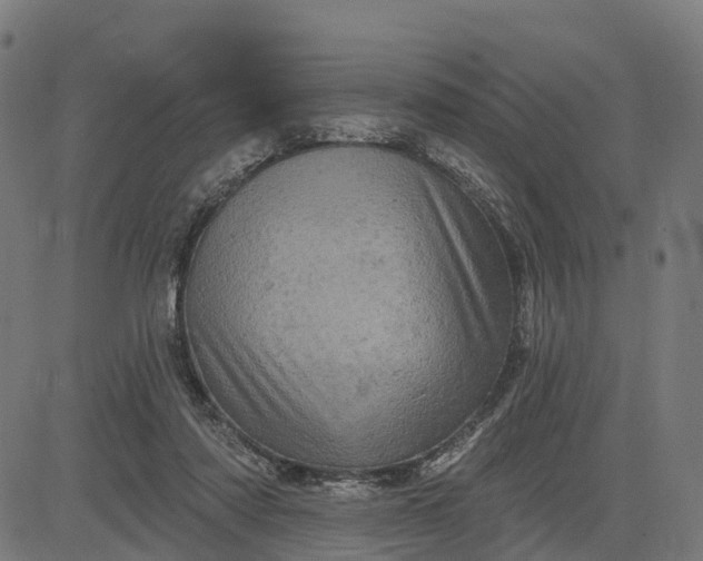 X0000084560310200703091752