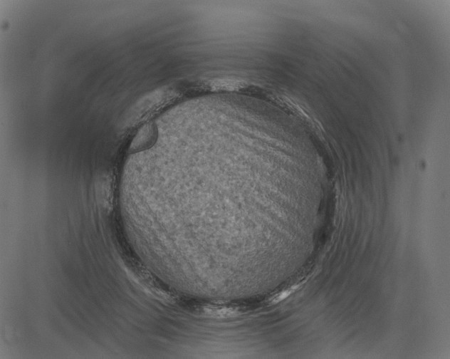 X0000084560311200703091752