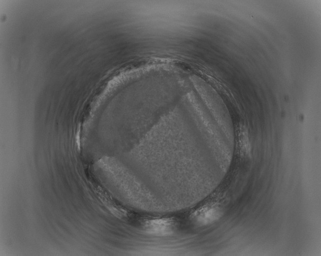 X0000084560312200703091752