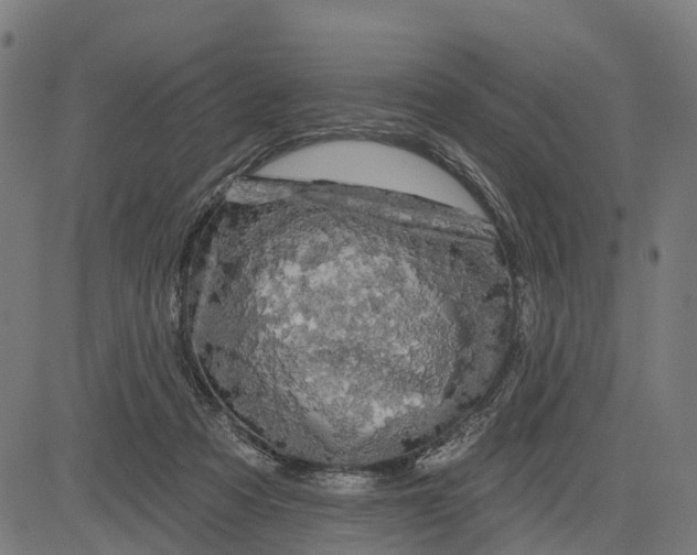 X0000084560313200703091752