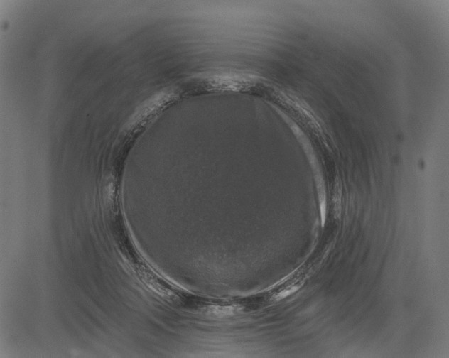 X0000084560314200703091752