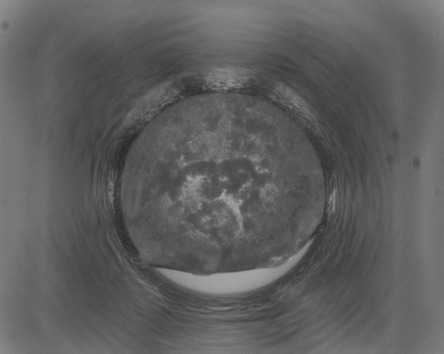 X0000084560315200703091752