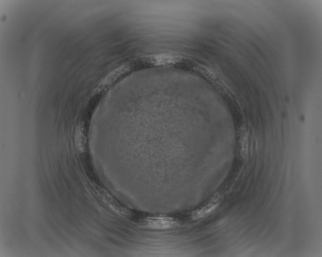 X0000084560316200703091752