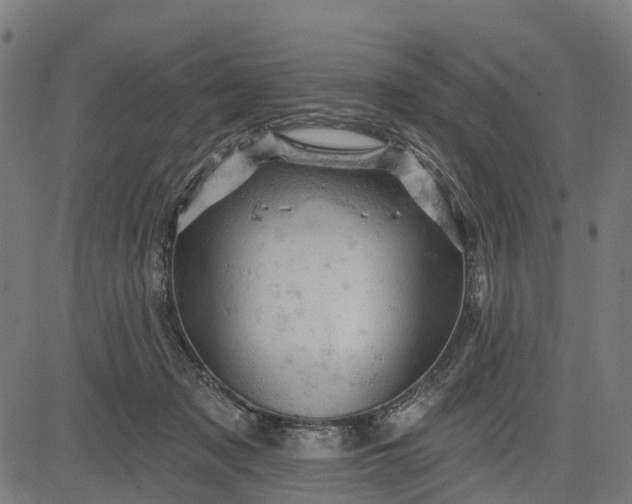 X0000084560317200703091752