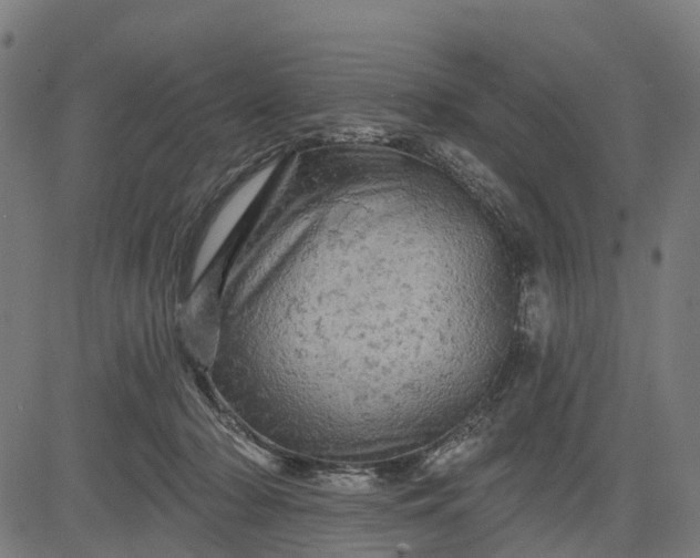 X0000084560318200703091752