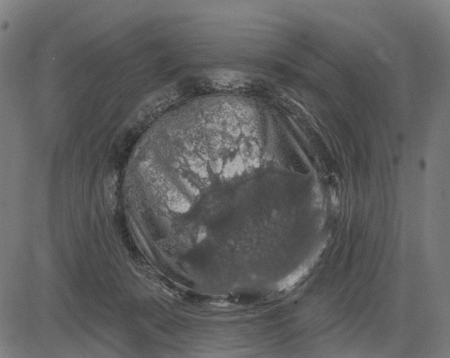 X0000084560319200703091752