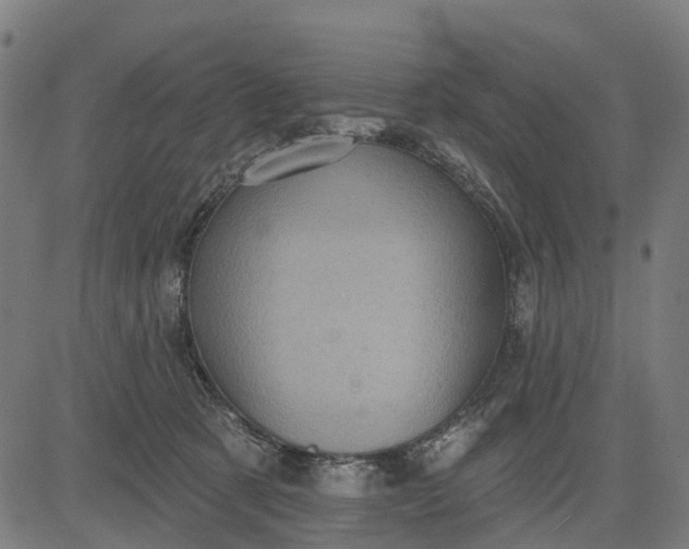 X0000084560321200703091752