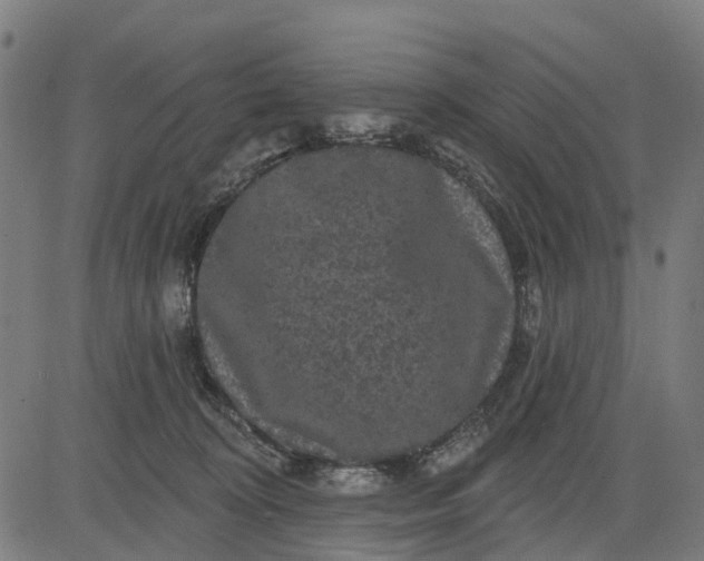 X0000084560324200703091752