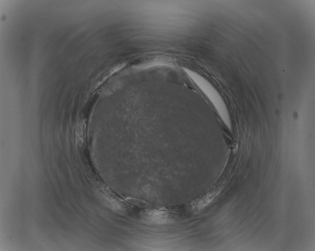 X0000084560325200703091752