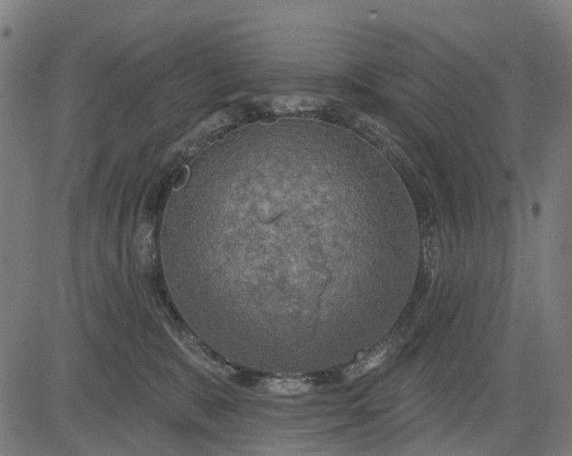 X0000084560327200703091751