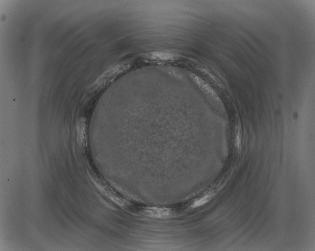 X0000084560328200703091751