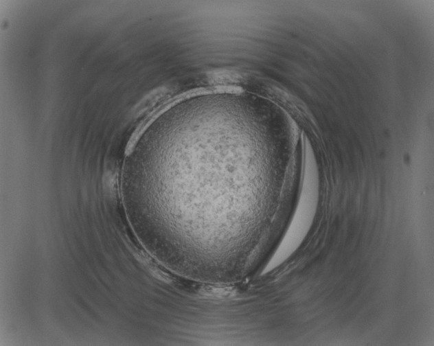 X0000084560329200703091751