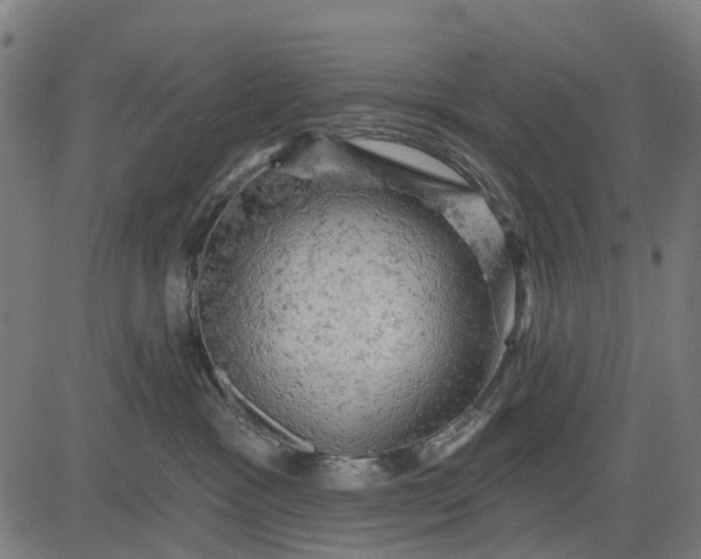 X0000084560333200703091751