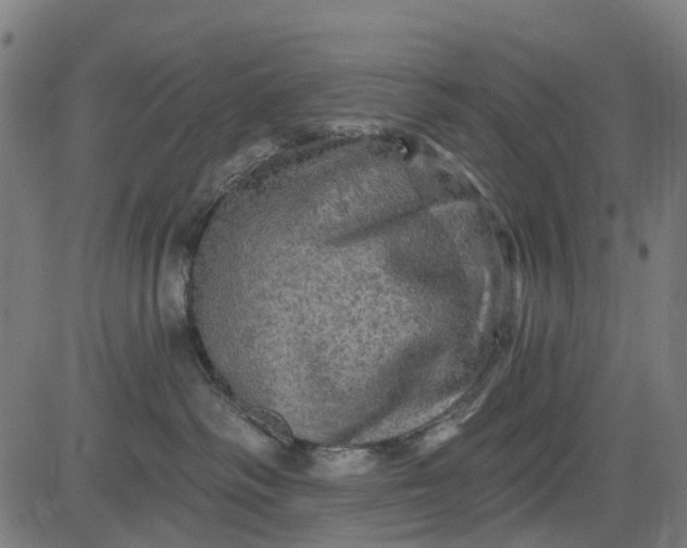 X0000084560334200703091751