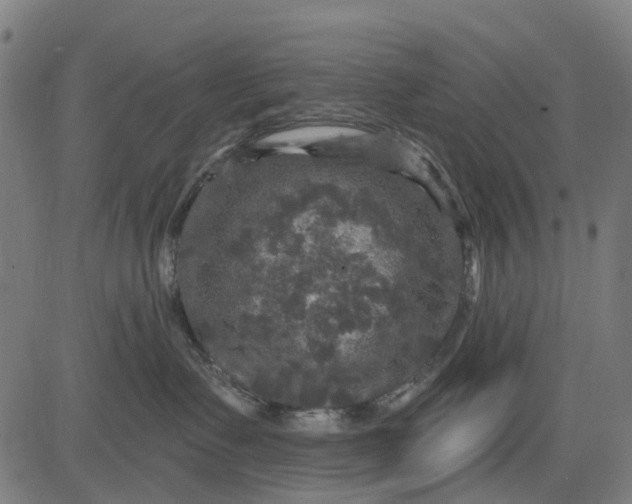 X0000084560335200703091751