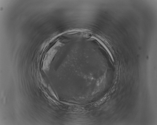 X0000084560337200703091751