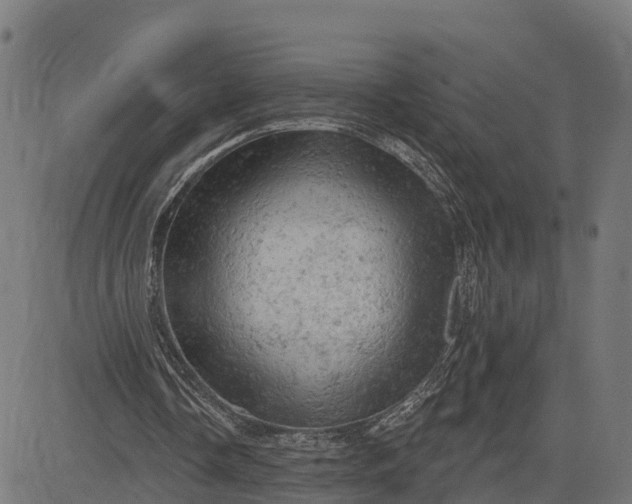 X0000084560338200703091751