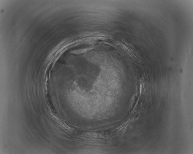 X0000084560339200703091751