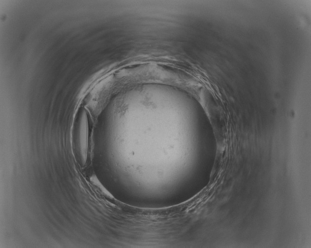 X0000084560340200703091751