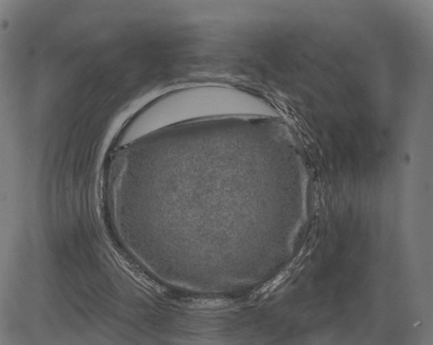 X0000084560342200703091751