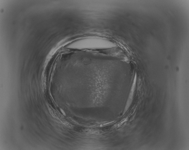 X0000084560343200703091751