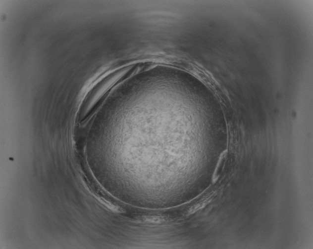 X0000084560344200703091751