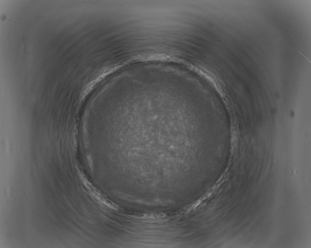 X0000084560345200703091751