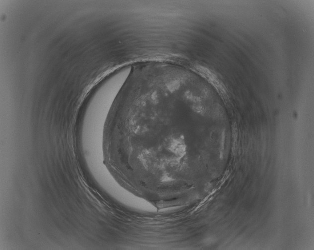 X0000084560346200703091751