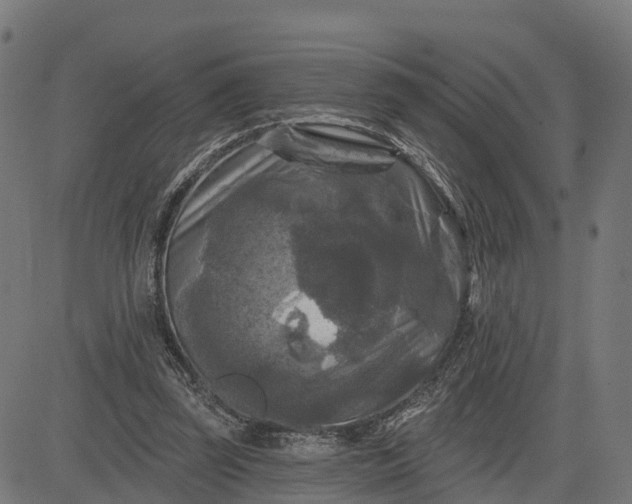 X0000084560347200703091751