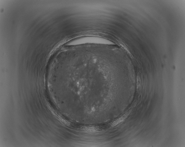 X0000084560349200703091751