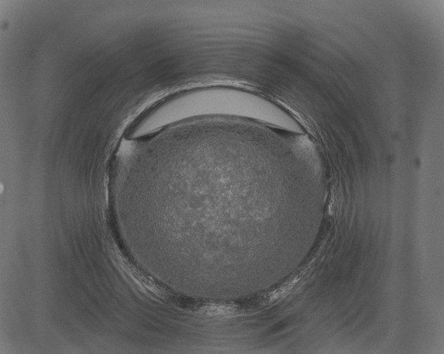 X0000084560350200703091751