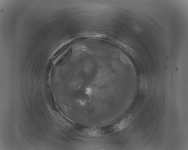 X0000084560351200703091751