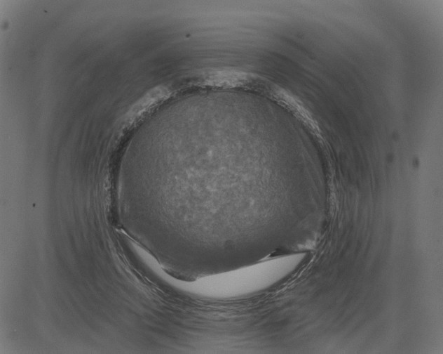 X0000084560354200703091751