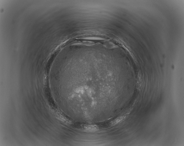 X0000084560355200703091751