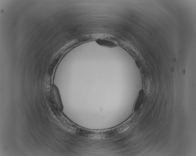 X0000084560356200703091751