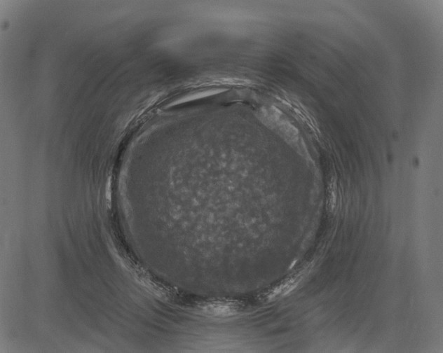 X0000084560358200703091751