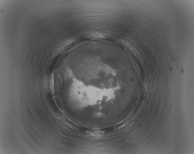 X0000084560359200703091751