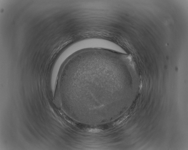 X0000084560360200703091751