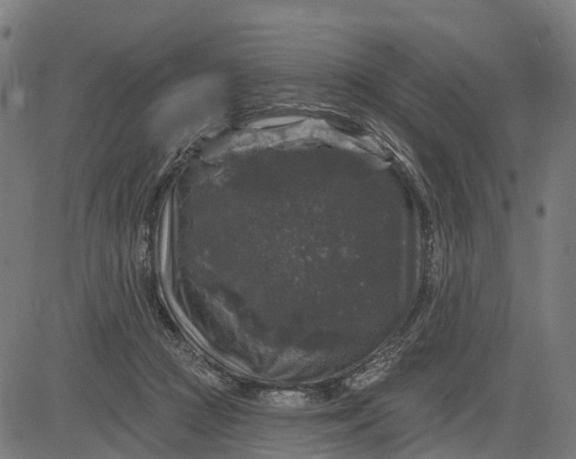 X0000084560361200703091751