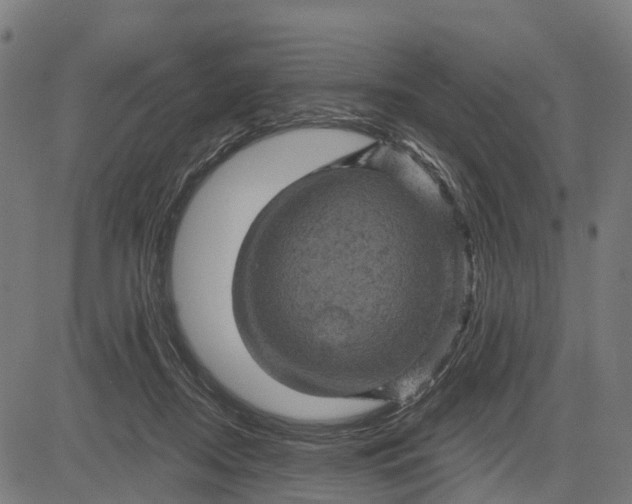 X0000084560362200703091751