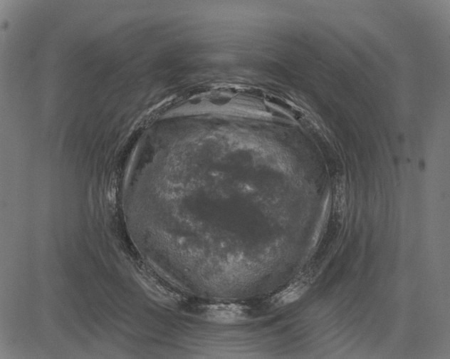 X0000084560363200703091751