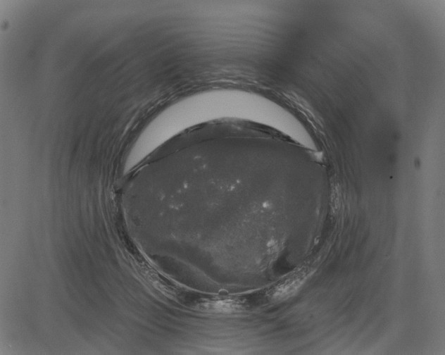 X0000084560365200703091751